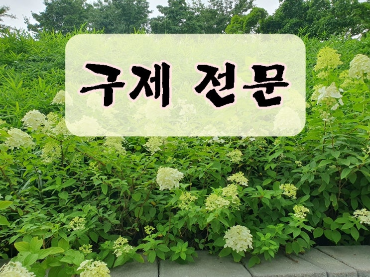  공주 음주운전 행정사 면허 구제 취소 처분 정지 감경 전문 사무소
