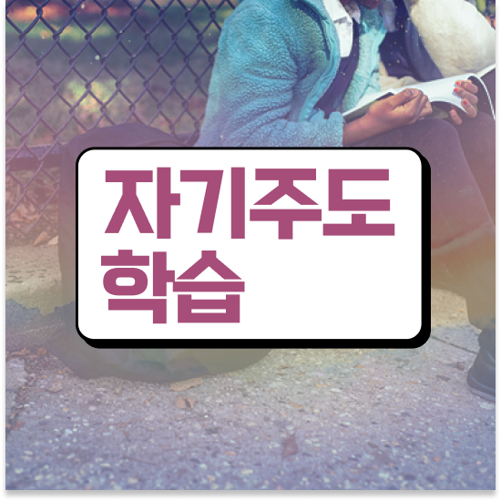  초등 6학년 초등영어홈스쿨링 엘리하이로