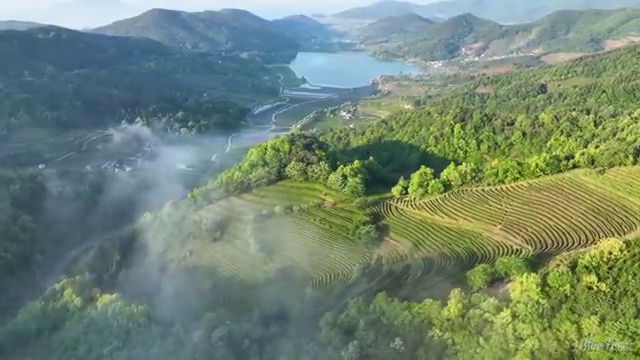  구로구 가리봉동 변기막힘 가격 꿀팁 모음