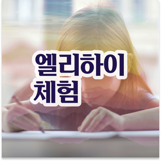 초등 2학년 엘리하이로 초등 2학년 엘리하이로