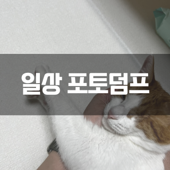  [일상 포토덤프] - 운동 운동 운동! 다이어트 시작