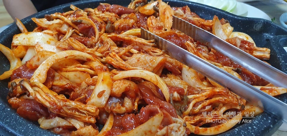 둥지청둥오리 사진 6