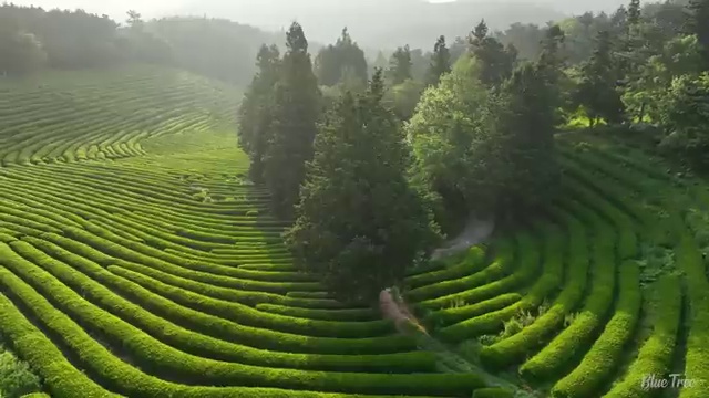  수산물품질관리사 자격증 , 취득 정보