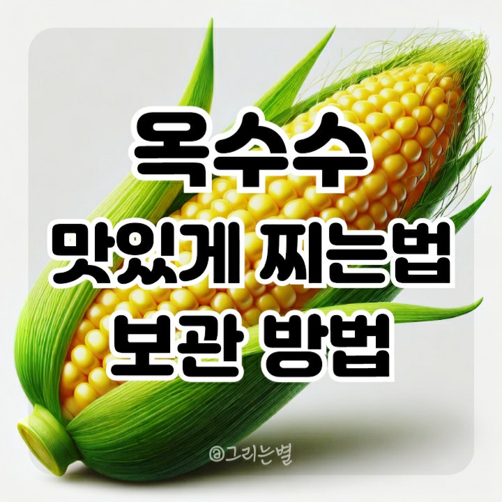  삶은 옥수수 냉장 보관 맛있게 찌는 법 칼로리 데우기 요령 및 요리법