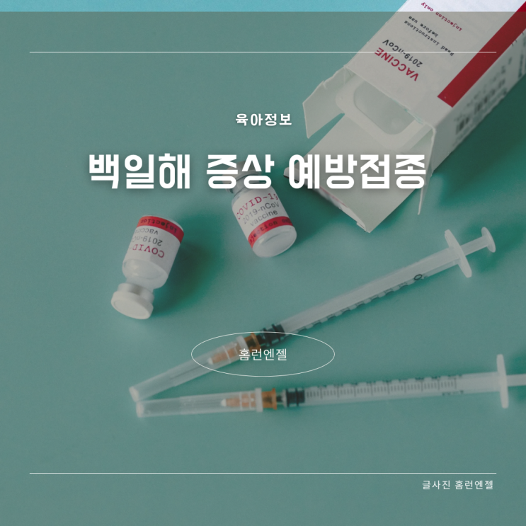  영유아 임산부 백일해 예방접종 시기