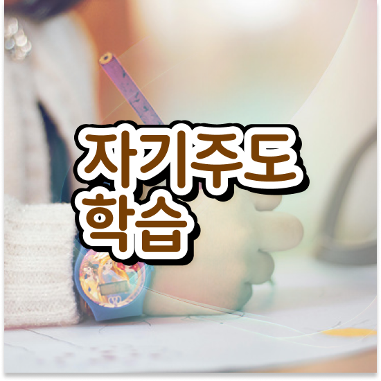  초등 5학년 엘리하이수학교재 활용방법