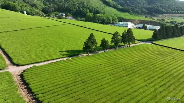  겨울가족여행 준비중이라면 , 여행 전문가 가 무료로 설계해 드립니다. (무료 서비스)