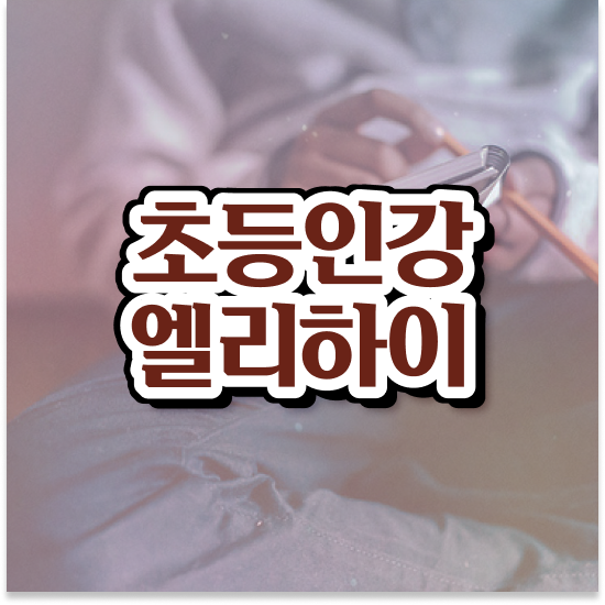  12세 엘리하이 초등 가격 정보