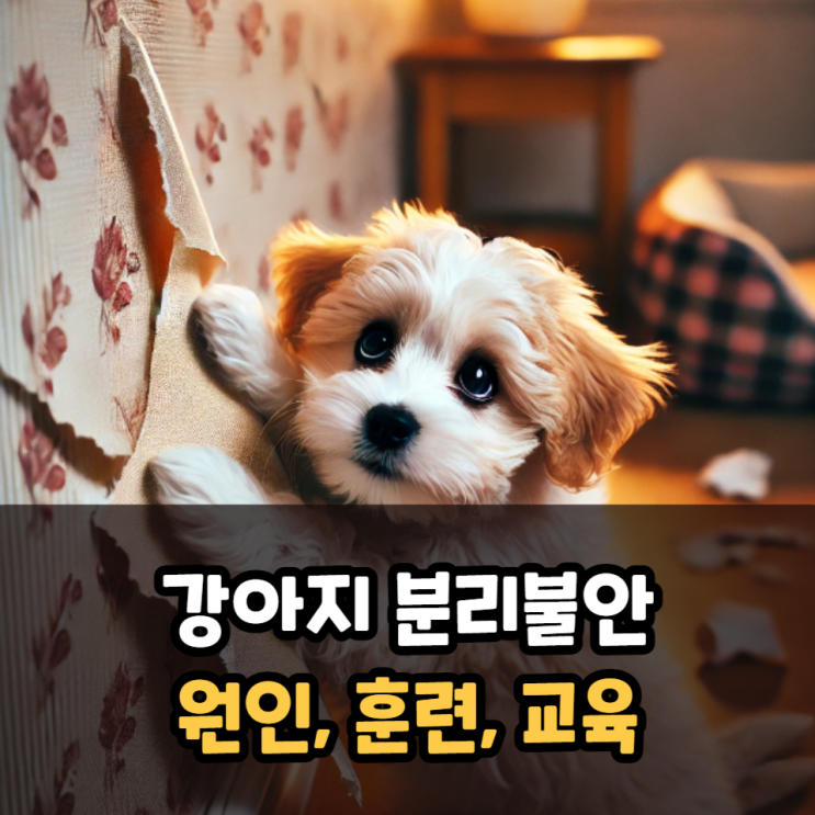  강아지 분리불안 원인, 훈련, 교육