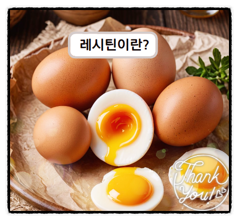  레시틴효능 보충제 필요할까