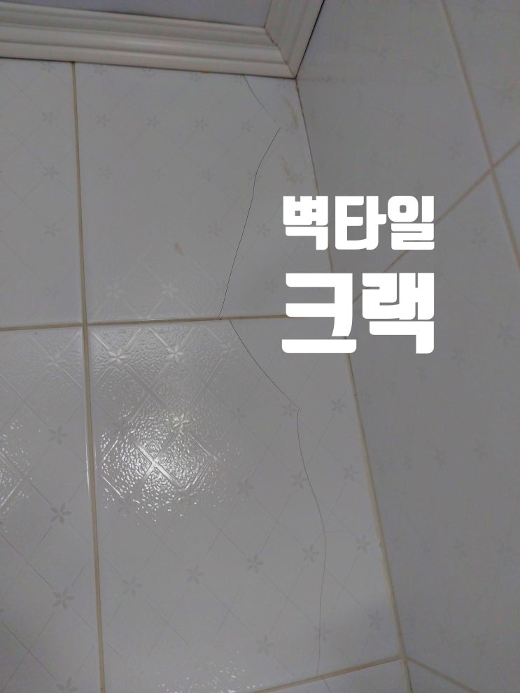  화장실 욕실 벽타일 크랙 복원 보수 / 벽 금 진행되지 않게 예방조치