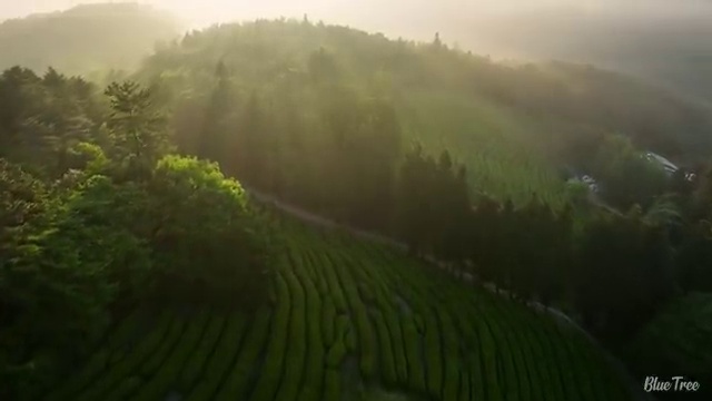  웨딩플래너업체 , 웨딩 스튜디오 선택의 모든 것 합리적인 선택 , 웨딩박람회에서 결혼준비 세심하게