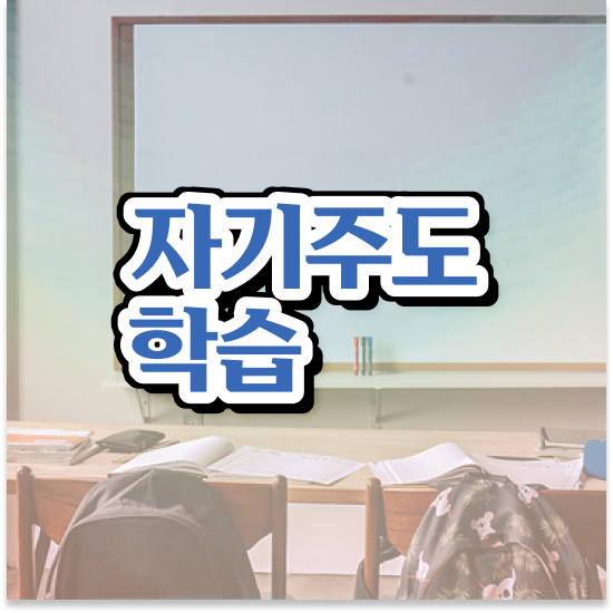  11세 엘리하이 교재 쿠폰 예습하기