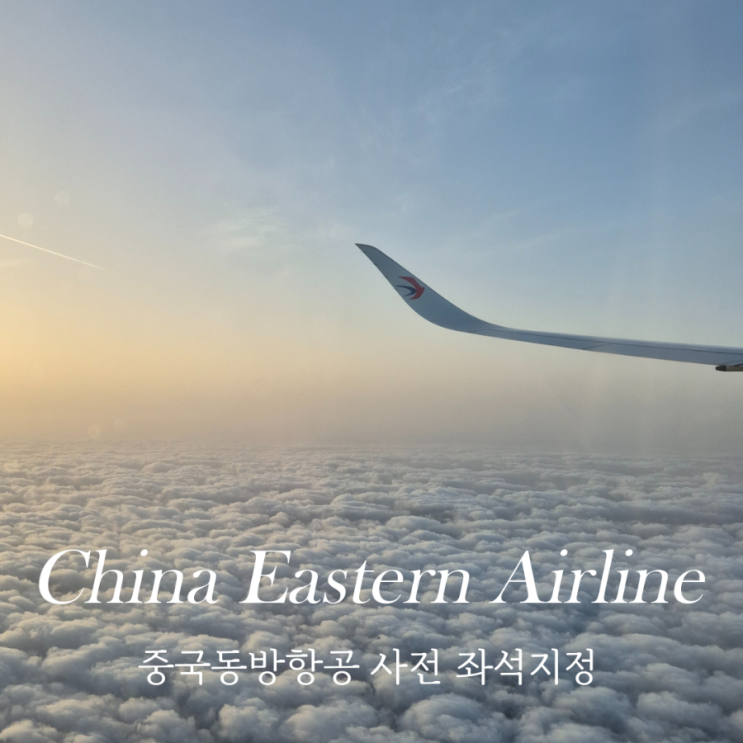  중국동방항공 사전 좌석지정 상하이 경유 이집트 여행 항공권