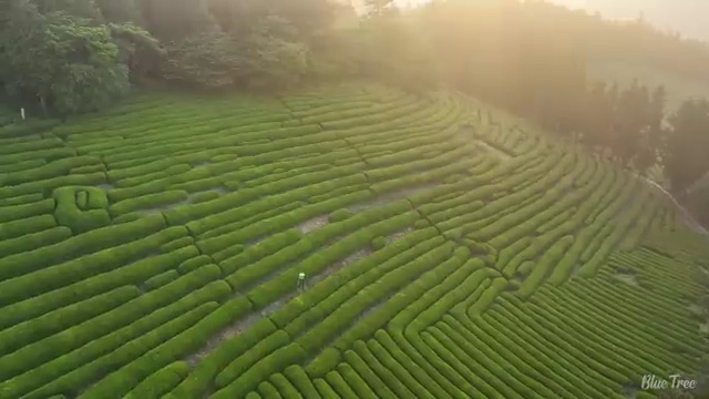  리스 , 합리적인 꿀팁