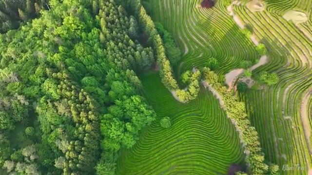  수산물품질관리사 자격증 , 합격 후기