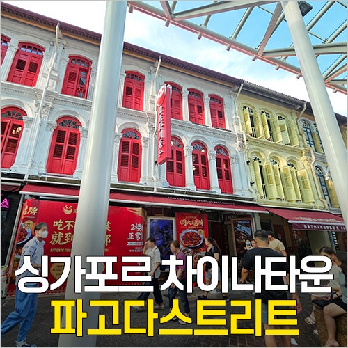  싱가포르 차이나타운 기념품 쇼핑 파고다스트리트 마그넷 & MIXUE(미쉐) 1달러 간식