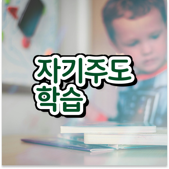  8세 초등저학년영어과외 엘리하이로