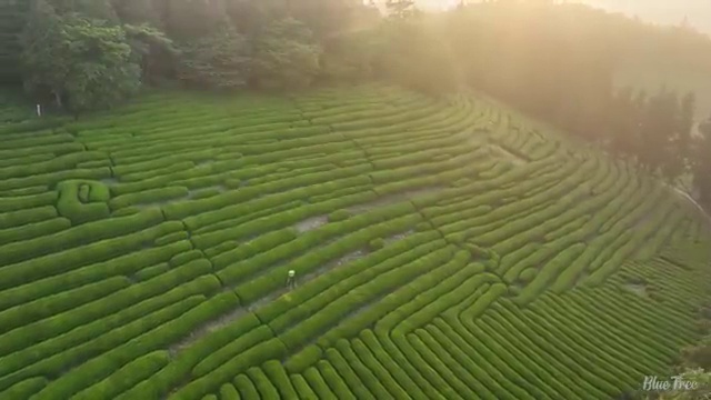  수산물 품질관리사 자격증 , 빠르게 성공한 후기