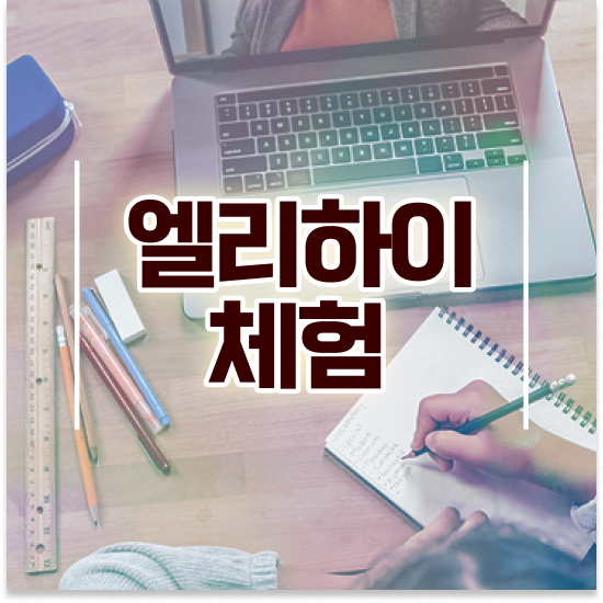  11세 초등수학 문제 엘리하이로