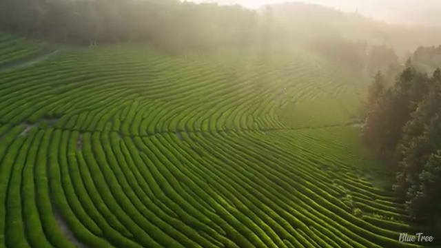  수산물품질관리원 자격증 , 빠르게 따는 법