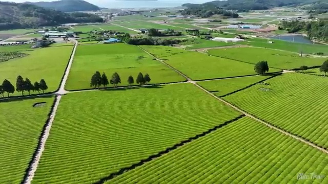  결혼박람회 일정 스드메 패키지 찾아보기 : , 웨딩박람회에서 결혼준비 효율적으로 점검하는 법