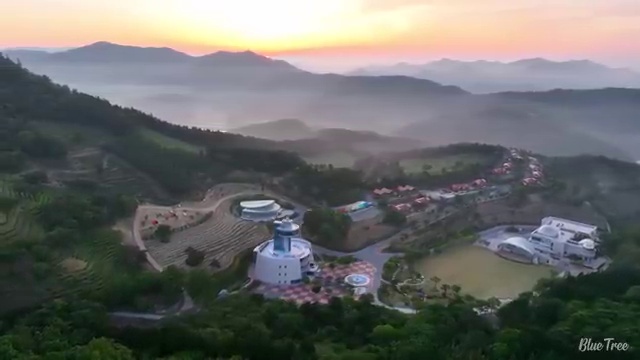  미국 여행 비용 아낄 수 있는 팁 , 현지 전문가 가 알려드려요 (무료 서비스)