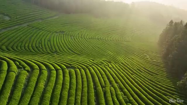  수산물품질관리원 자격증 , 취득 후 전망