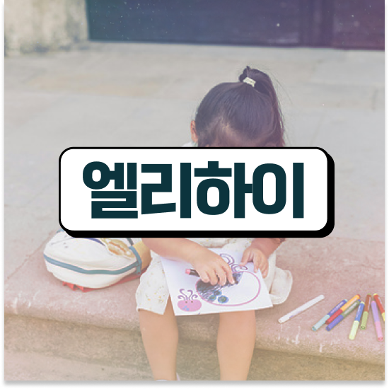  초등 6학년 엘리하이 초등 가격 공부하기