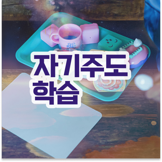  초등 1학년 엘리하이로 자기주도학습