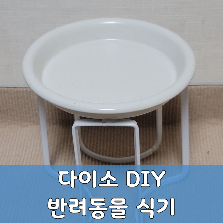  다이소 이쁜 가성비 반려동물 밥그릇 만들기 강추 꿀팁