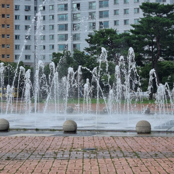  율하체육공원 메타세쿼이아 야자수매트길
