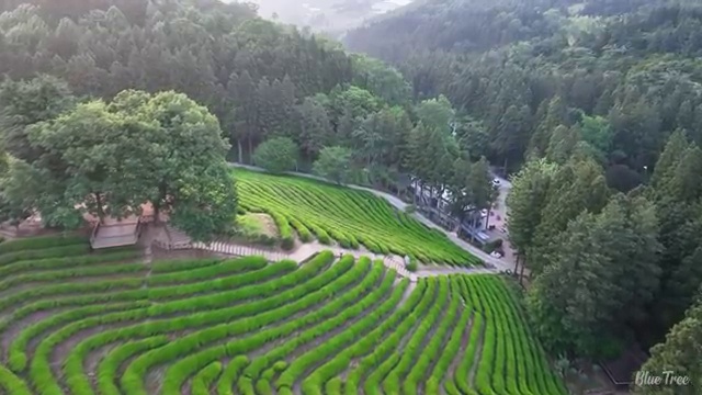  가족해외여행추천 , 여행 전문가 가 직접 정리해드릴깨요 (무료 서비스)