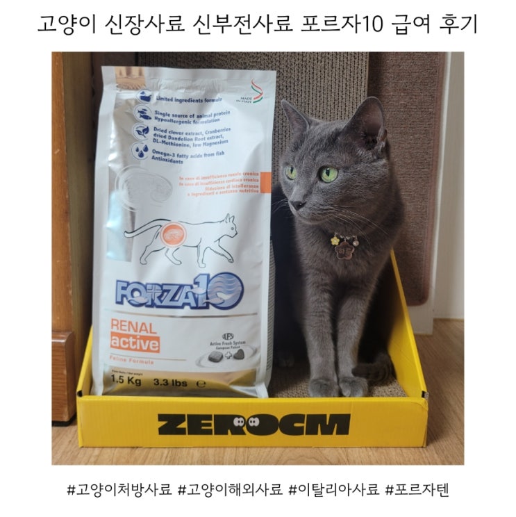  고양이 신장사료 신부전사료 포르자10 레날 급여 후기