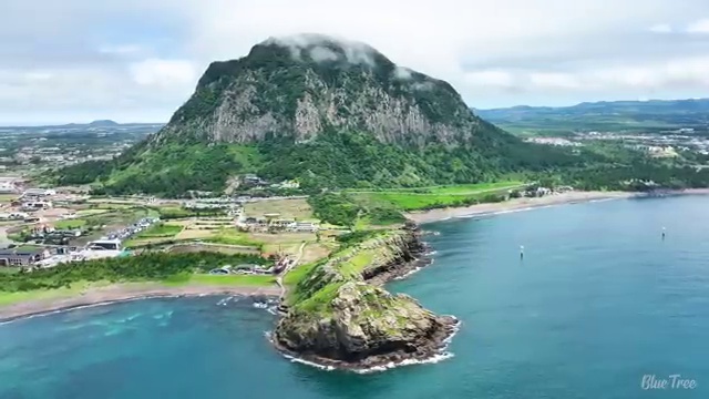 수산물 품질관리사 자격증 , 합격한 후기