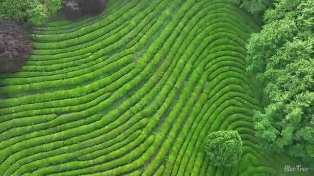  수산물 품질관리사 자격증 , 취득한 노하우