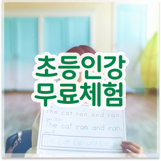  11세 엘리하이 가격 정보 공유