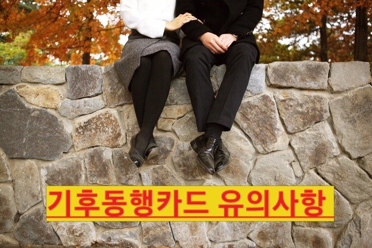  기후동행카드 구매방법부터 환급방법까지 모든것