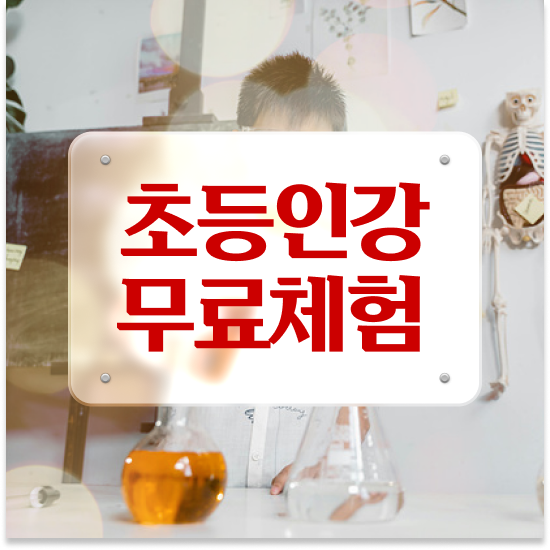  예비초등 엘리 하이패드가격 확실하게