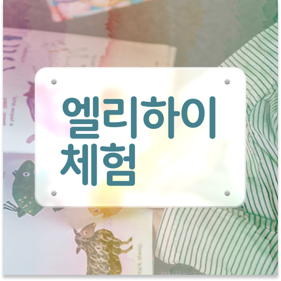  초등 2학년 엘리 하이교재가격 알차게