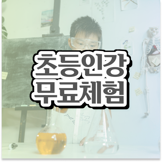  초등 1학년 초등교과수학 엘리하이로
