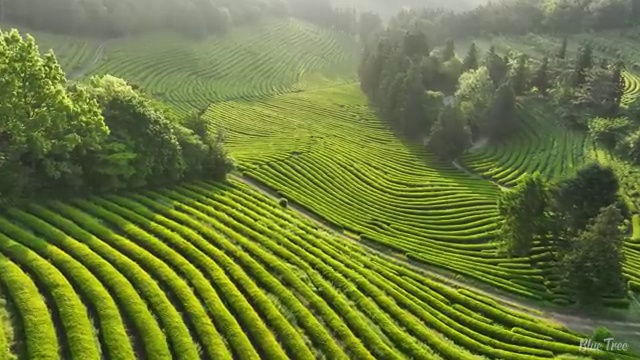  수산물 품질관리사 자격증 , 편하게 성공한 팁