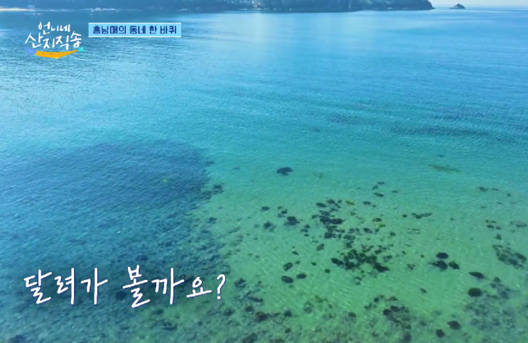  언니네 산지직송 촬영지 촌캉스 추천 (+팔랑마을)