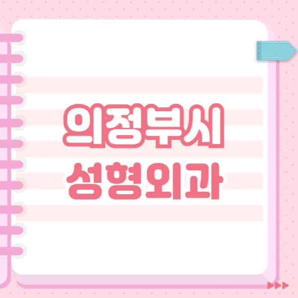  의정부시 성형외과, 잘하는 곳과 일요일 전문의 블랙리스트 소개