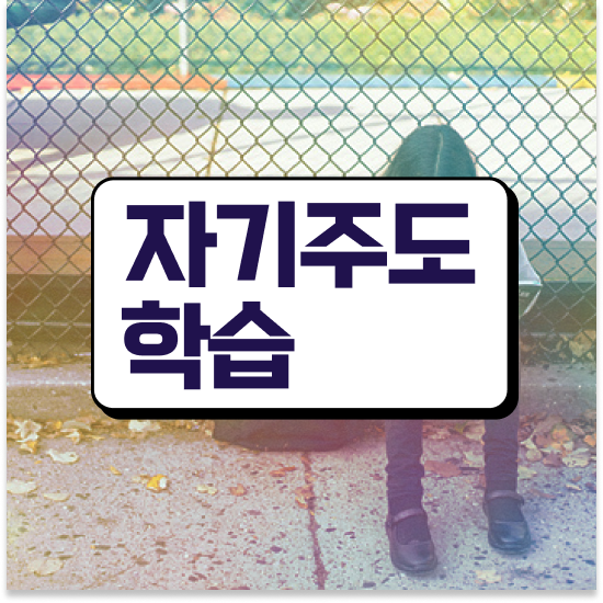  10세 초등학교 학습지 엘리하이로 문제 없어요