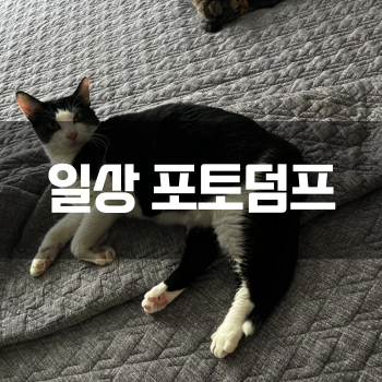  [일상 포토덤프] 07.08 ~ 07.13 별거 없는 일주일 일상 :)