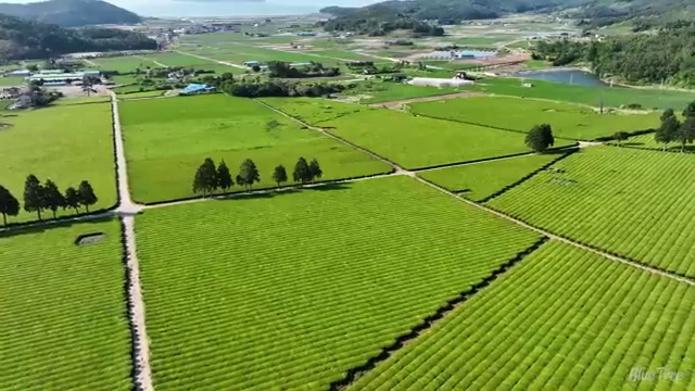  산림기사 필기 접수 산림기사 시험응시조건 인강으로 단기간에 완료한 노하우