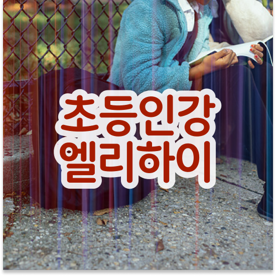  초등 1학년 엘리하이로