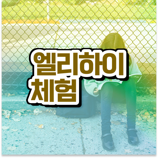  9세 엘리하이 초등 가격 탄탄하게!