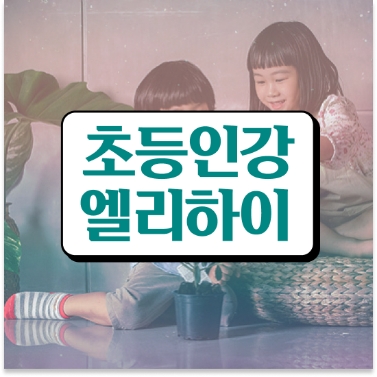  초등 6학년 초등 영재교육원 엘리하이로